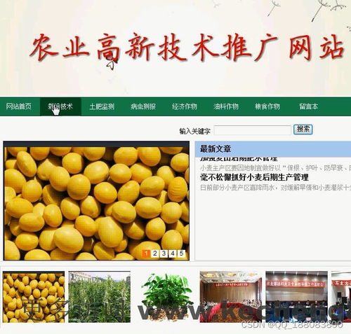 Web端農(nóng)業(yè)高新技術(shù)推廣平臺(tái) 設(shè)計(jì)理念與實(shí)現(xiàn)路徑